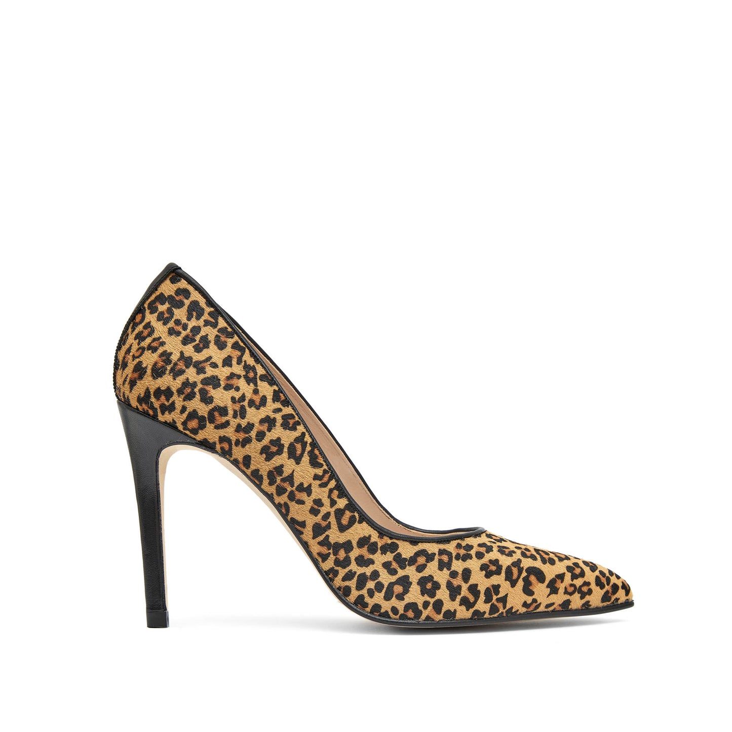 IRIS MINI LEOPARD AFRICA