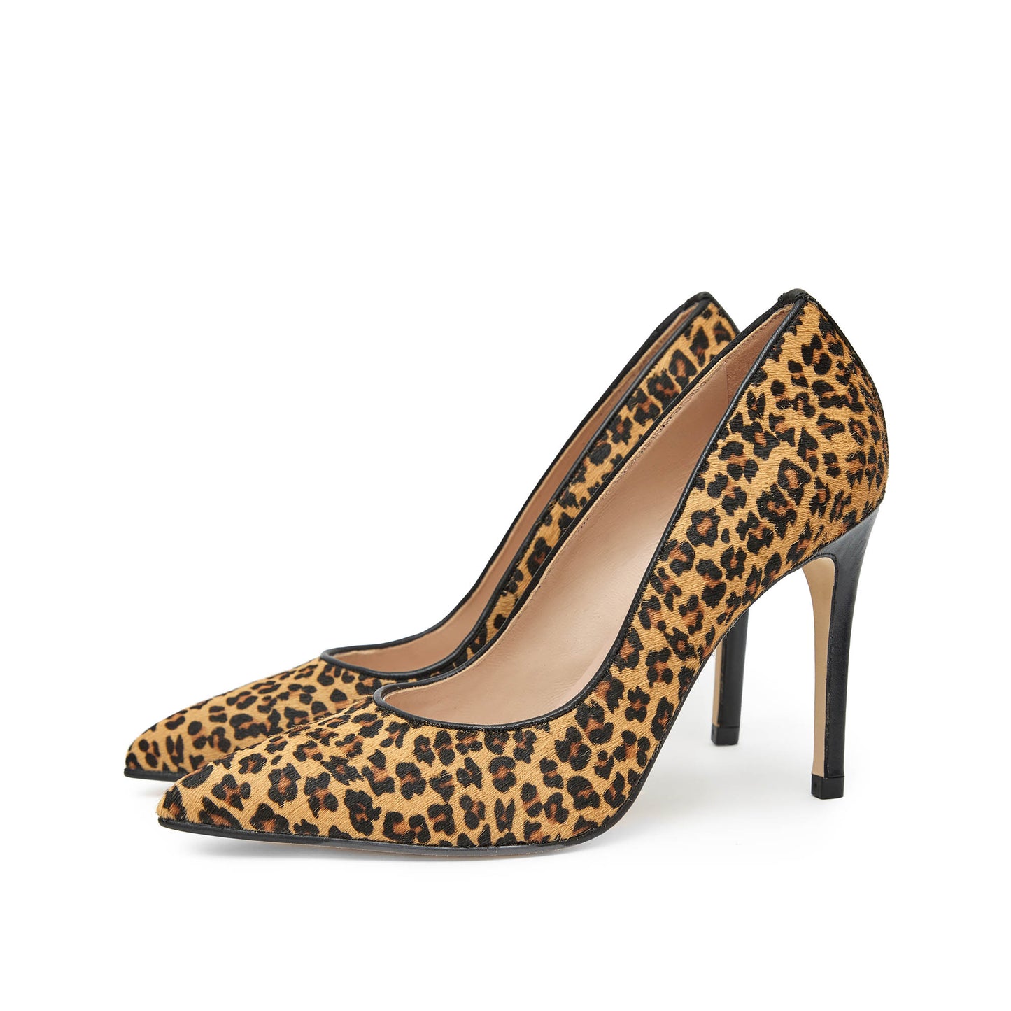 IRIS MINI LEOPARD AFRICA