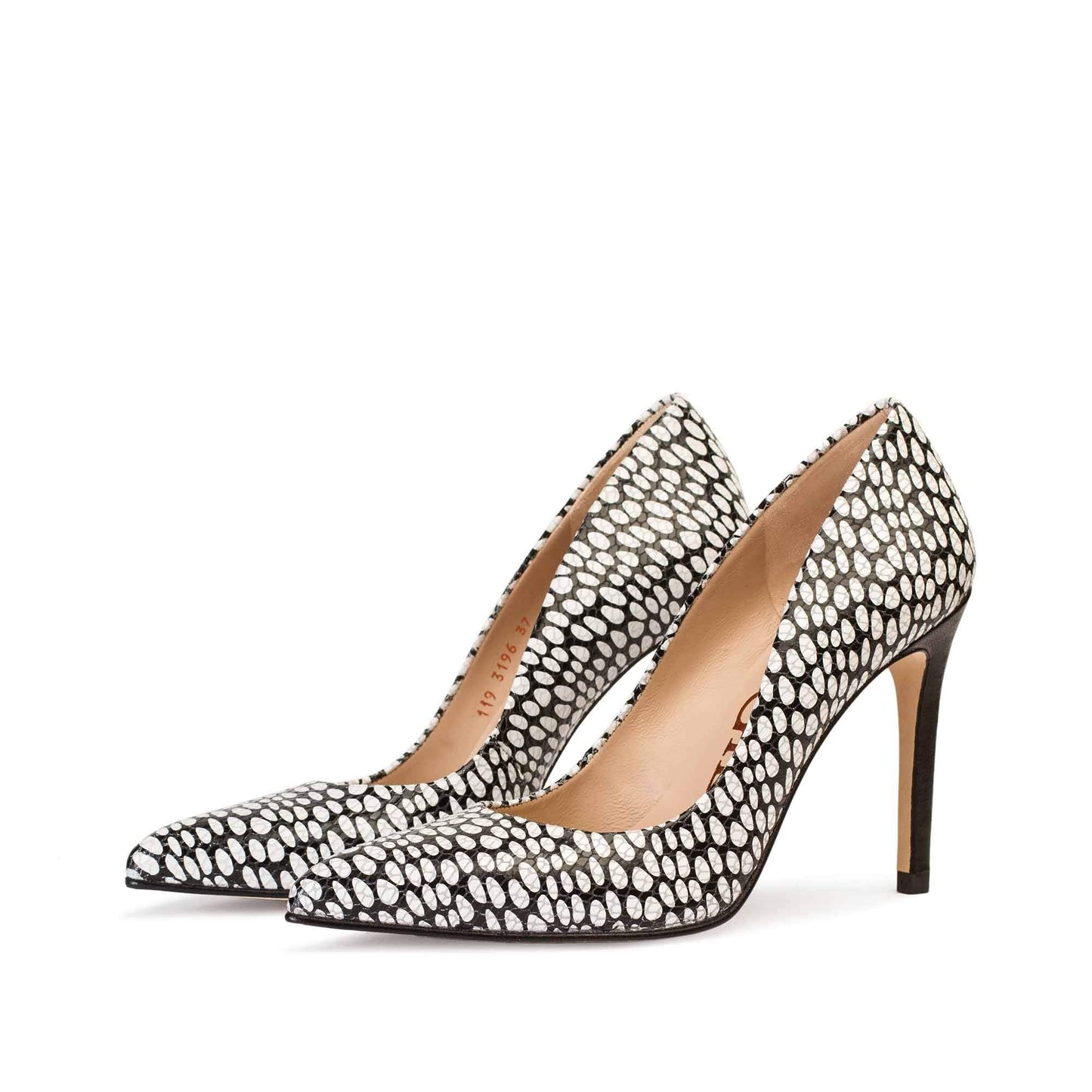 IRIS BLACK/WHITE SNAKE DOTS
