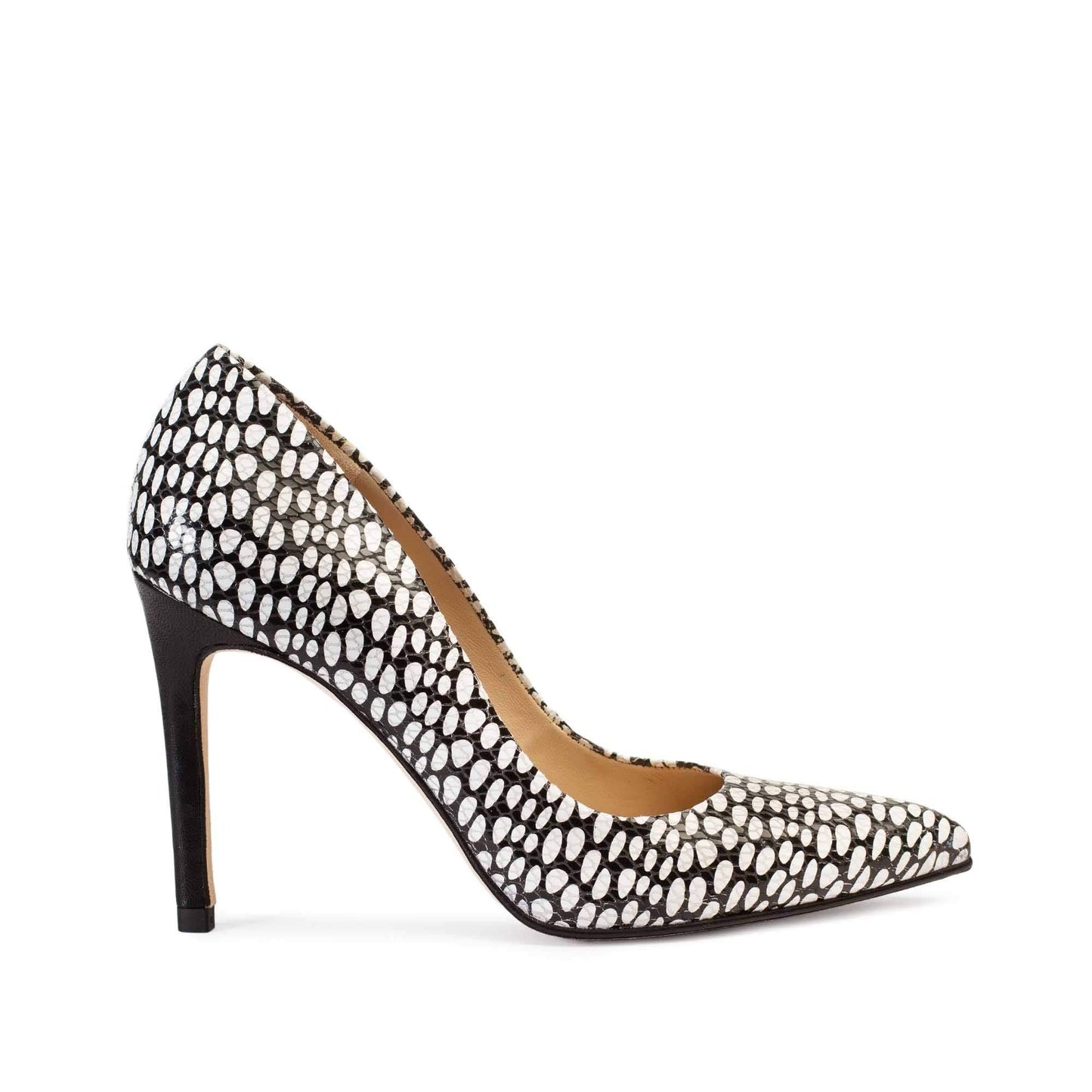 IRIS BLACK/WHITE SNAKE DOTS